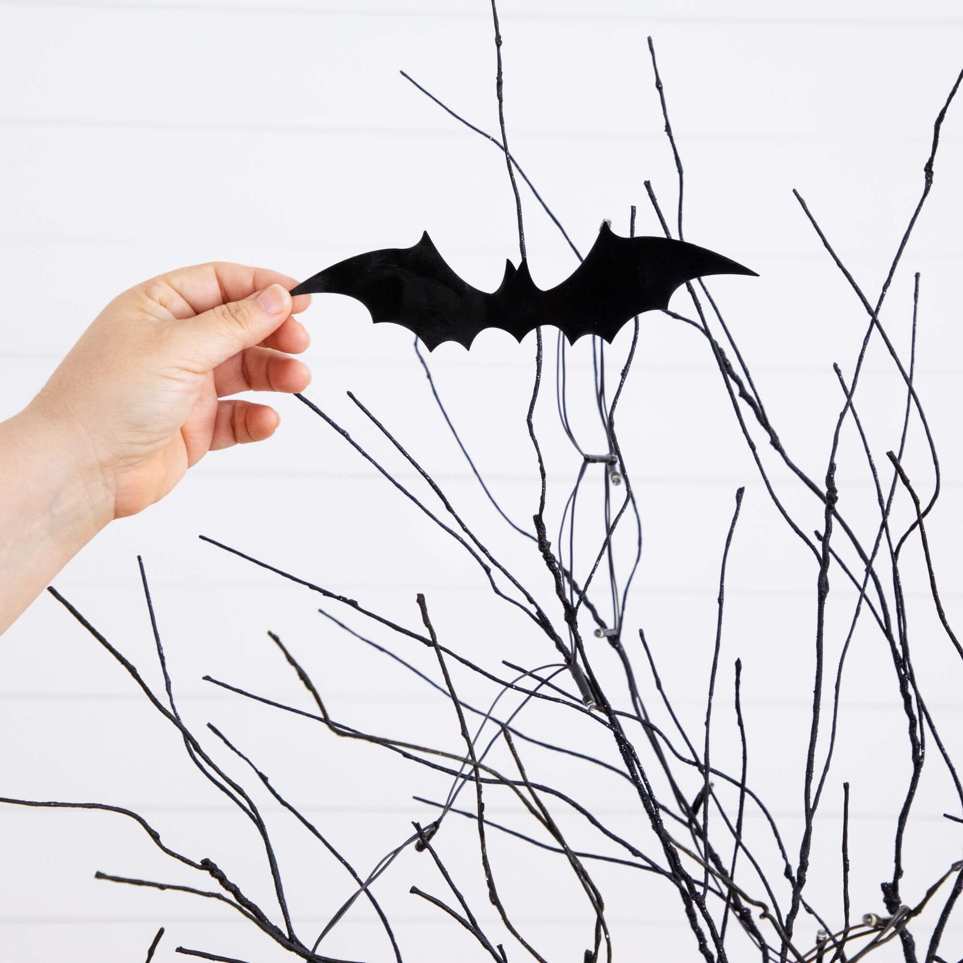 Black bat ornament held in hand against a tangle of Halloween twig branches on Tampa Home & Garden Store