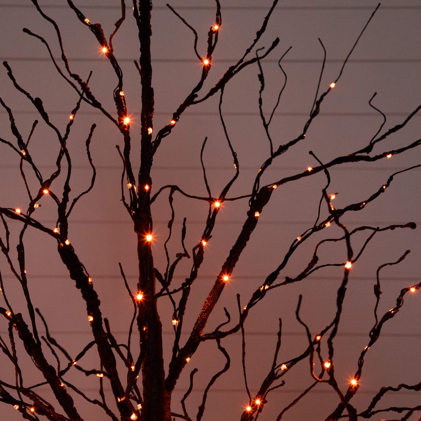 5' Pre-Lit Halloween Black Twig Artificial Tree with orange LED lights on Tampa Home & Garden Store