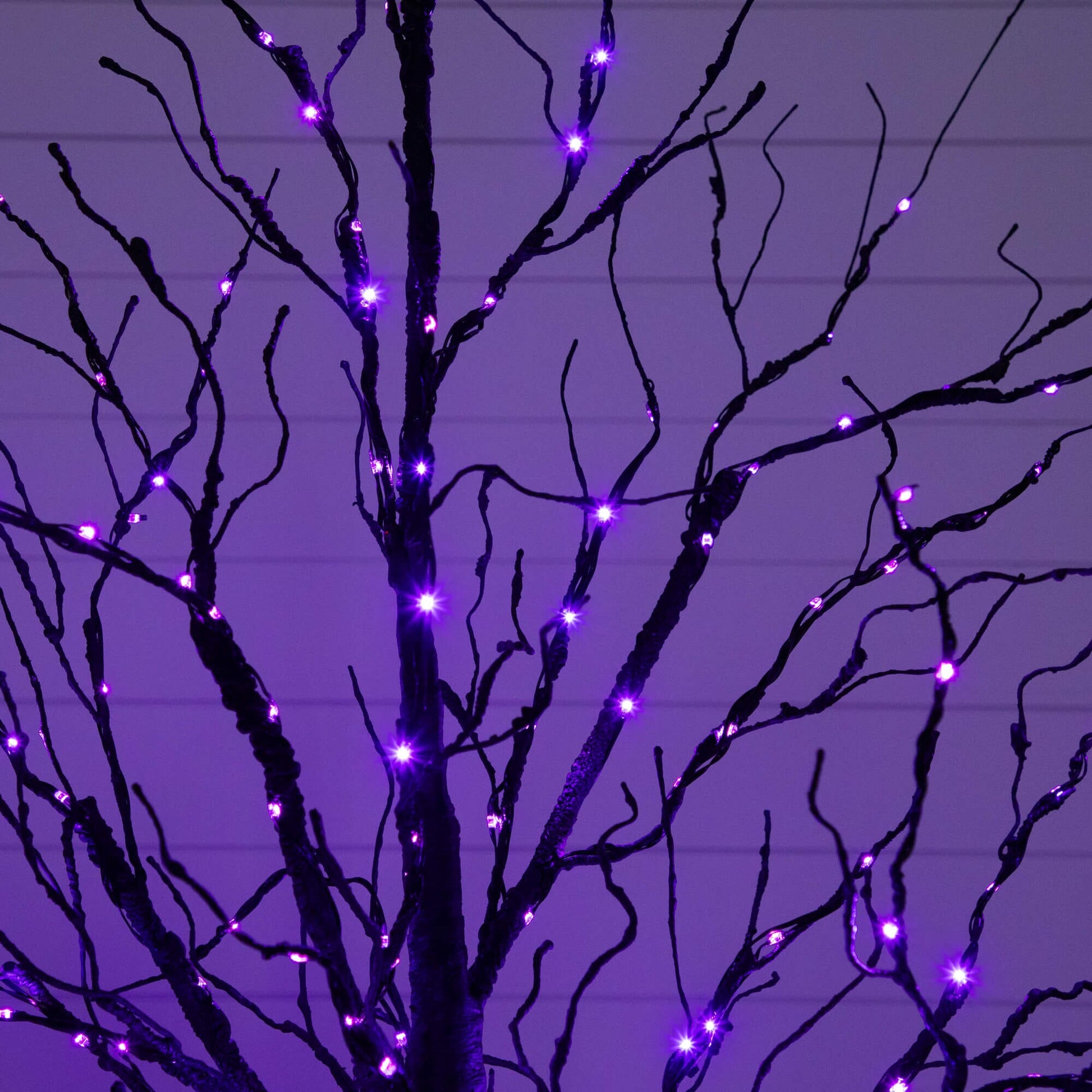 5' Pre-Lit Halloween Black Twig Artificial Tree with 240 orange & purple LEDs by Nearly Natural on Tampa Home & Garden Store