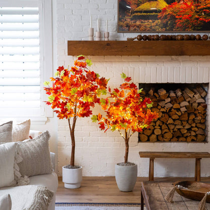 Pair of 5' pre-lit autumn maple artificial fall trees with 270 warm white LEDs on Tampa Home & Garden Store