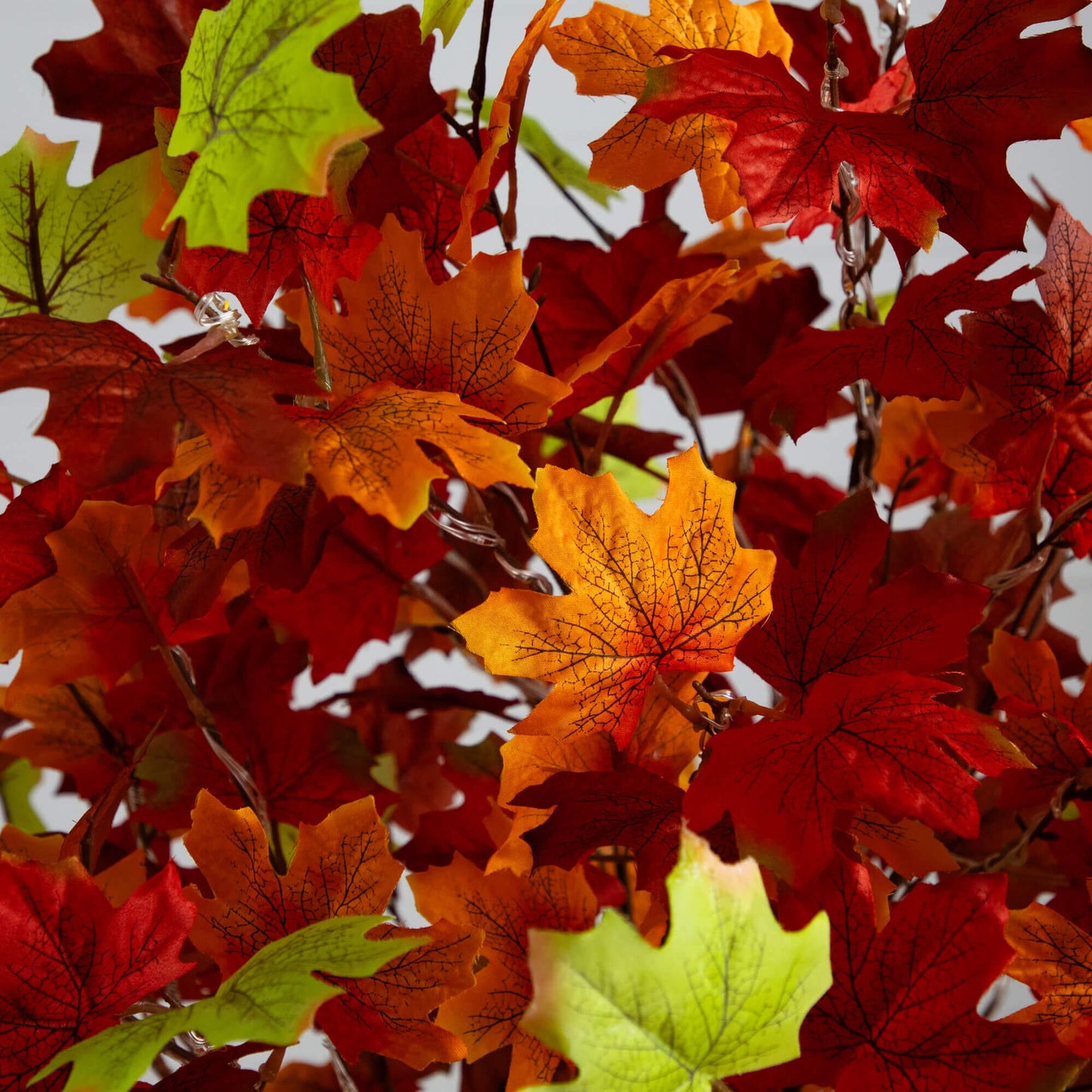 5 ft pre-lit autumn maple tree with red orange yellow leaves and 270 warm white LEDs on Tampa Home & Garden Store