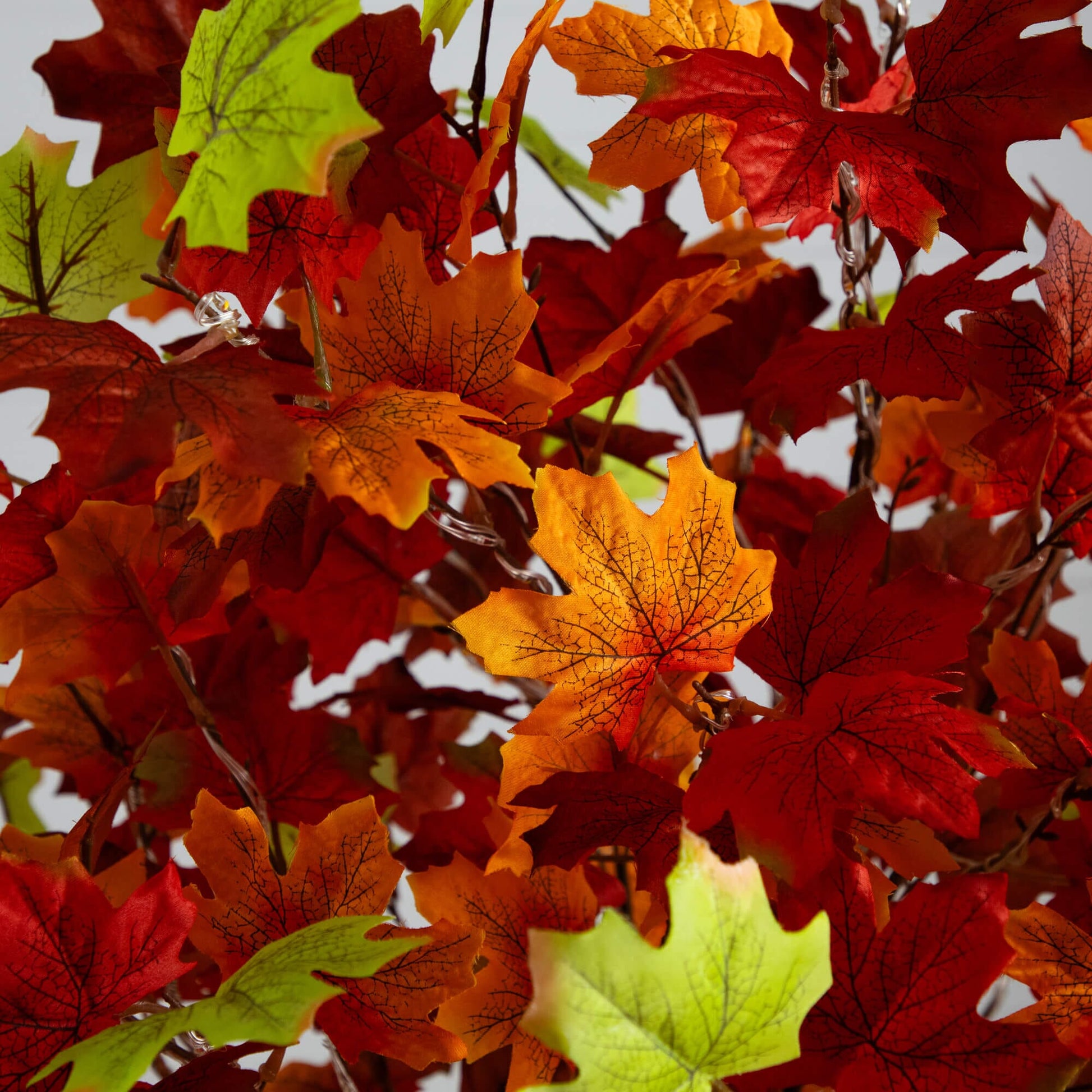 5 ft pre-lit autumn maple tree with red orange yellow leaves and 270 warm white LEDs on Tampa Home & Garden Store