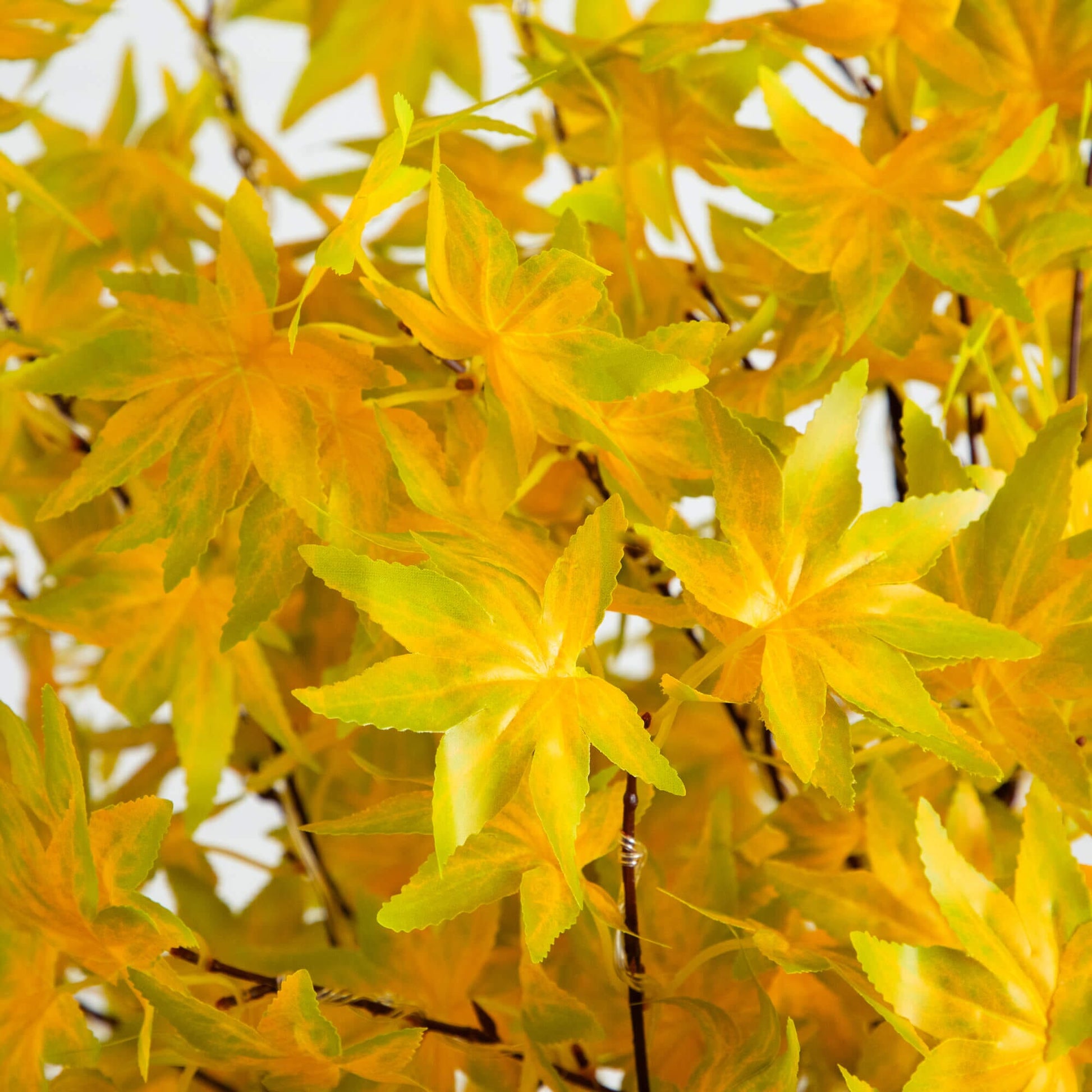 5 ft Nearly Natural pre-lit yellow autumn maple artificial tree with 250 warm white LEDs on Tampa Home & Garden Store