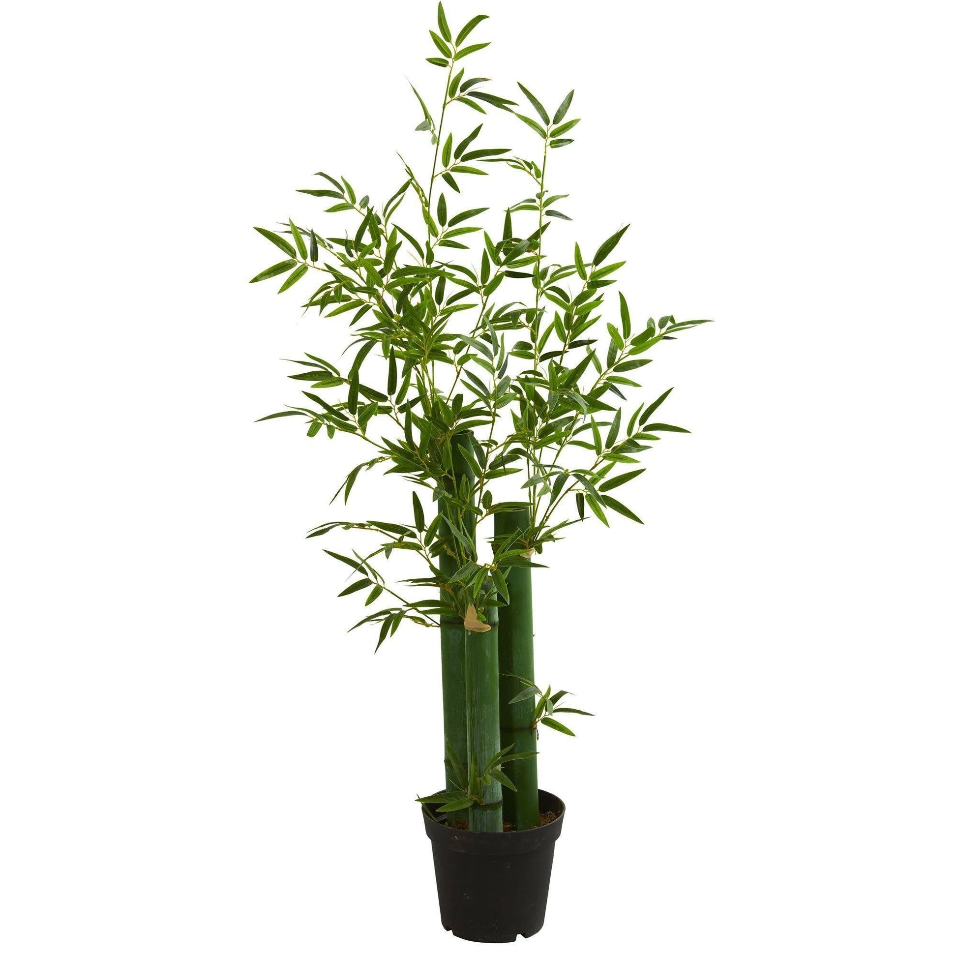 5’ Green Bamboo Artificial Tree by Nearly Natural in a black pot with multiple stalks and slender leaves on Tampa Home & Garden Store