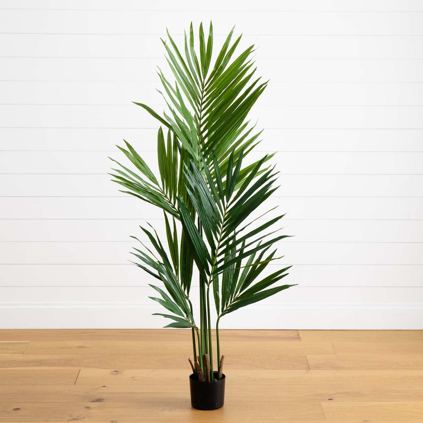 Palmera Kentia Artificial de Seda de 1,5 m