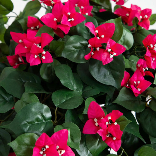 5 ft bougainvillea topiary artificial plant with pink blossoms and green leaves Nearly Natural on Tampa Home & Garden Store