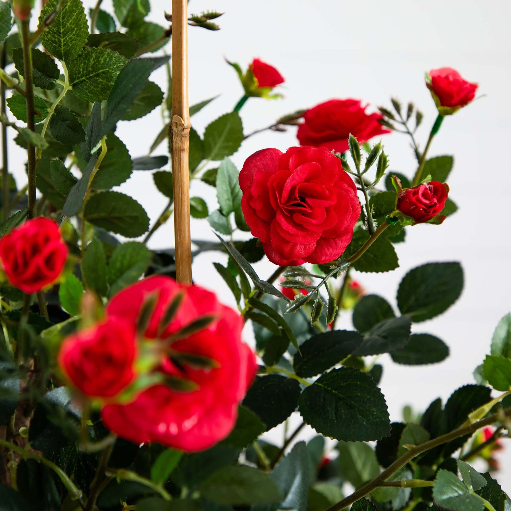 5' Mini Rose Silk Tree red silk roses, green leaves on Tampa Home & Garden Store