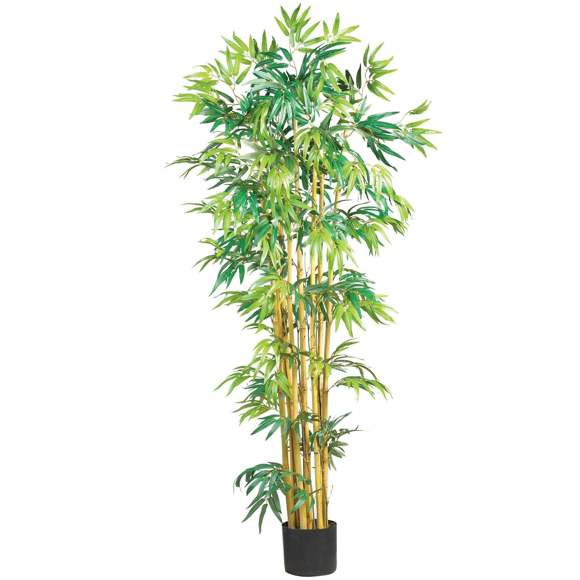 5' Multi Bambusa Bamboo Silk Tree by Nearly Natural with green bamboo stalks in a black planter on Tampa Home & Garden Store