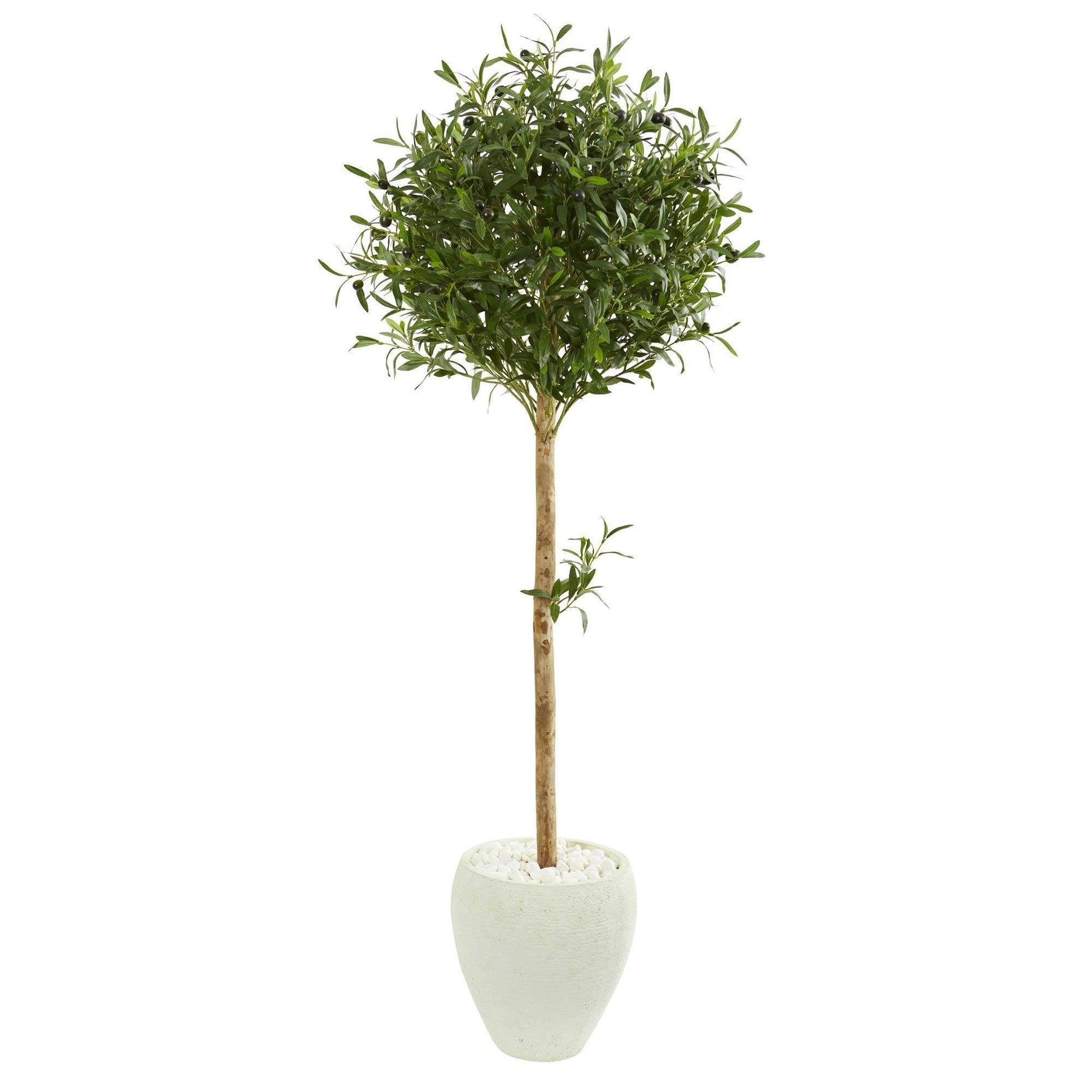 5’ Olive Topiary by Nearly Natural in White Planter, olive-green leaves with dark berries on Tampa Home & Garden Store