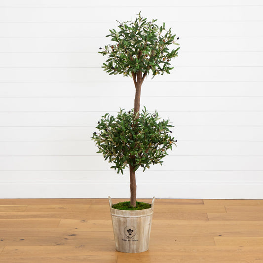 5’ Olive Tree in Farmhouse Planter - Tampa Home & Garden Store