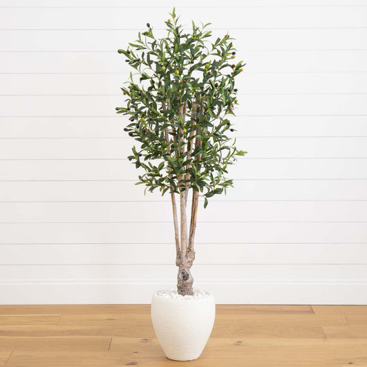 5’ Olive Tree in White Oval Planter - Tampa Home & Garden Store