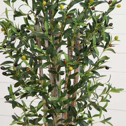 5’ Olive Tree in White Oval Planter - Tampa Home & Garden Store