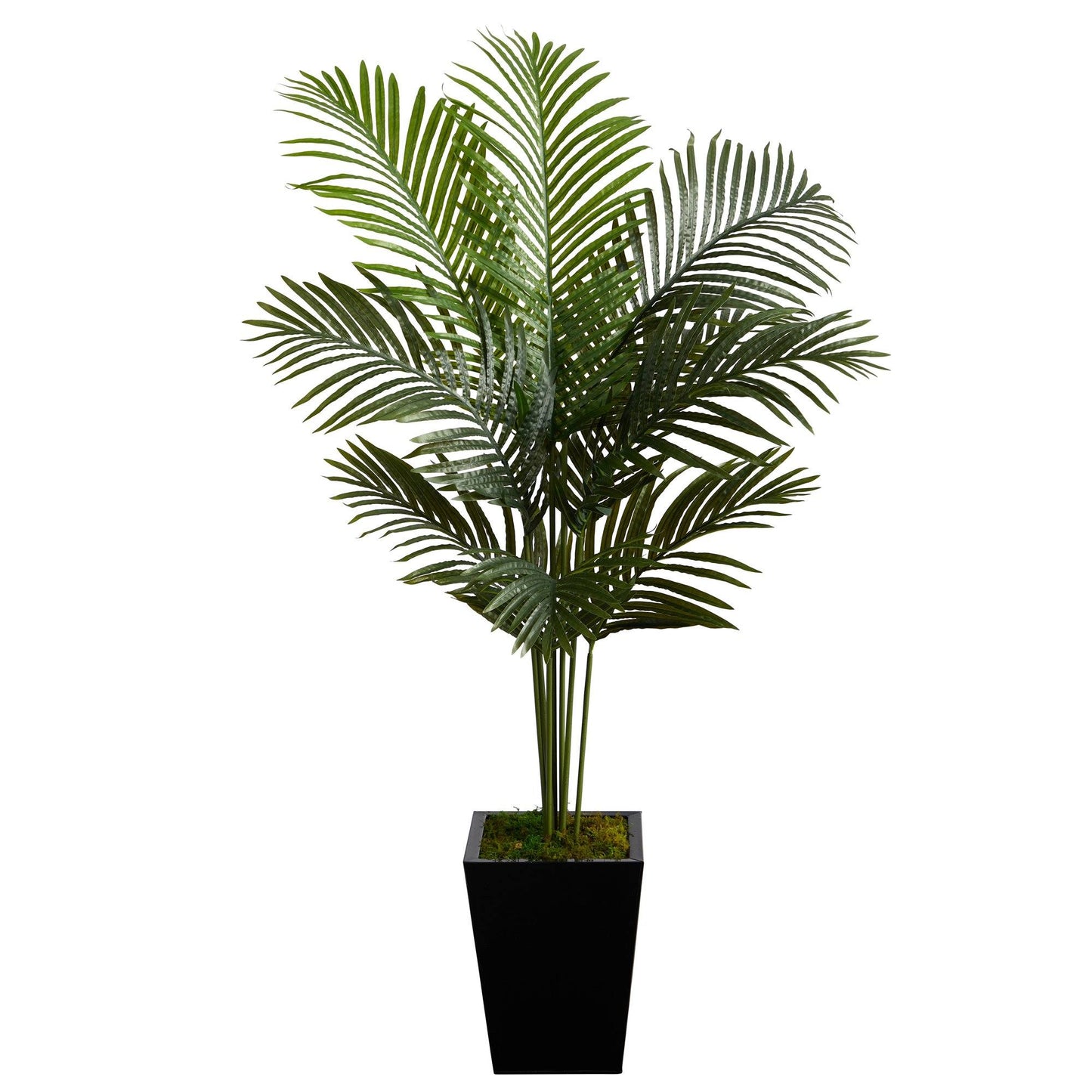 5’ Paradise Palm artificial tree in black metal planter with lush green fronds on Tampa Home & Garden Store