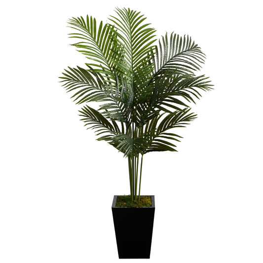 5’ Paradise Palm artificial tree in black metal planter with lush green fronds on Tampa Home & Garden Store