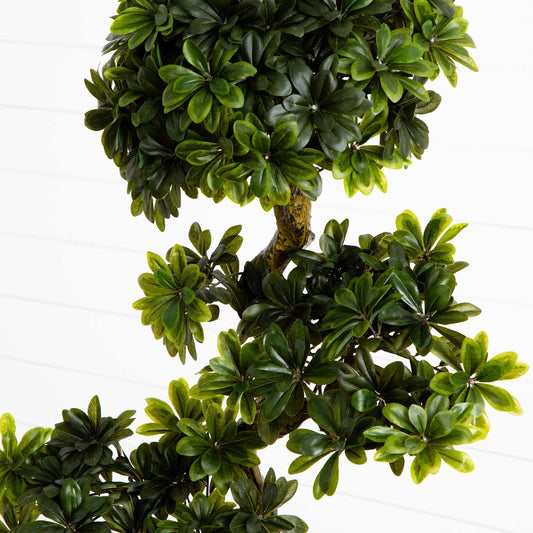 Nearly Natural 5' Pittispourm UV-resistant indoor/outdoor topiary with glossy dark green leaves on Tampa Home & Garden Store