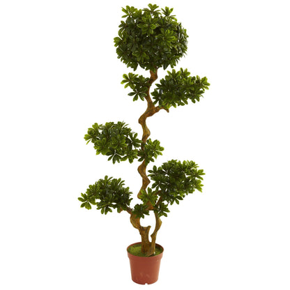 Nearly Natural 5' Pittosporum UV-Resistant indoor/outdoor topiary in terracotta pot on Tampa Home & Garden Store