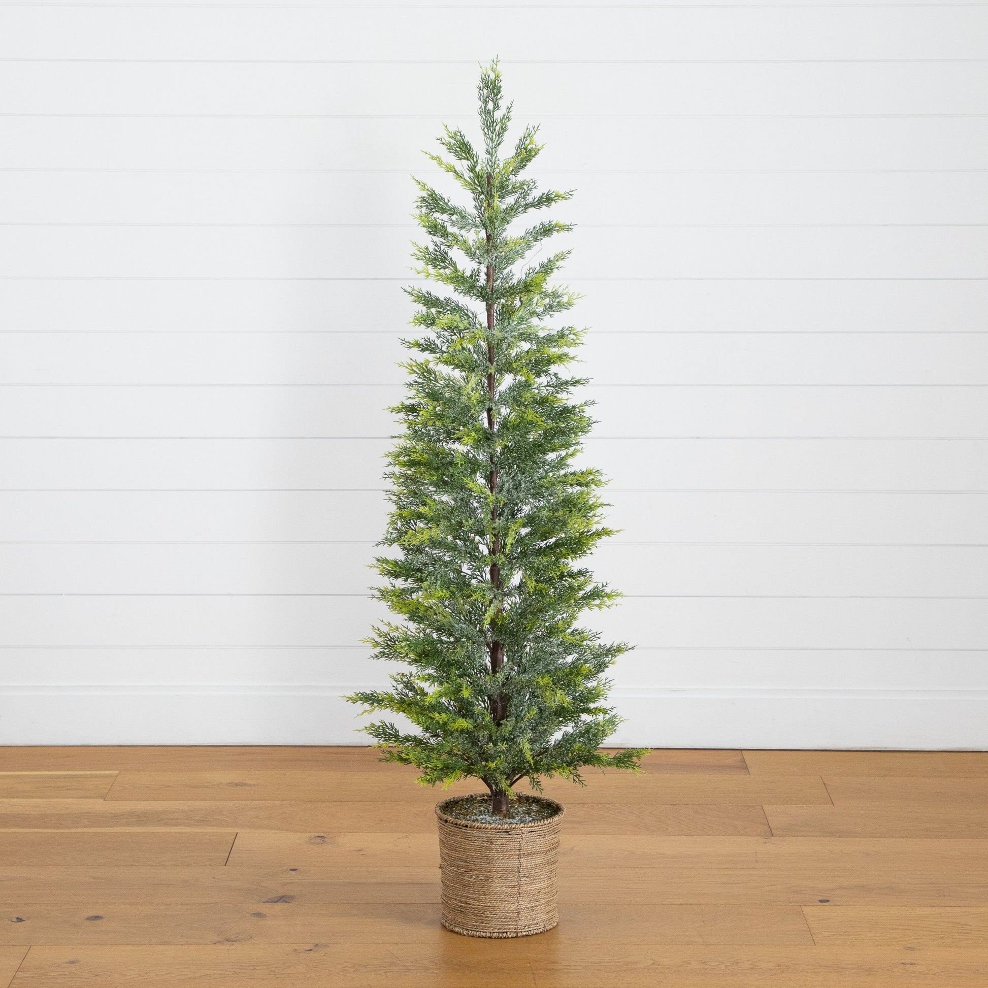 5ft pre-lit snowed cypress Christmas tree in a hyacinth basket green foliage on Tampa Home & Garden Store