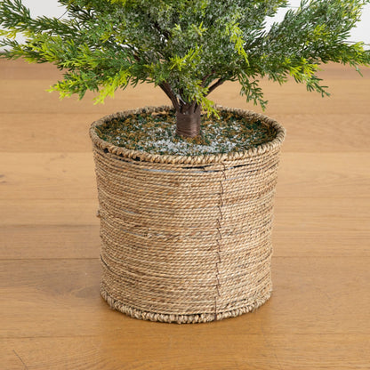 5 ft Pre-Lit Snowed Cypress Christmas Tree in Hyacinth Basket, Nearly Natural, 140 LEDs on Tampa Home & Garden Store