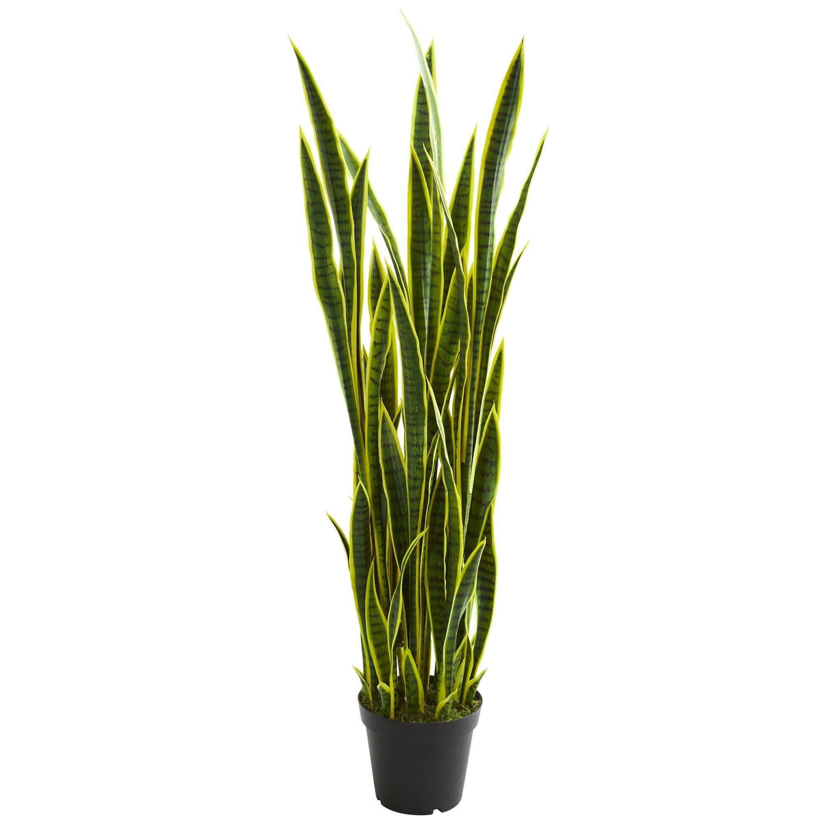 5’ Sansevieria artificial plant from Nearly Natural green leaves edged in yellow in a pot on Tampa Home & Garden Store