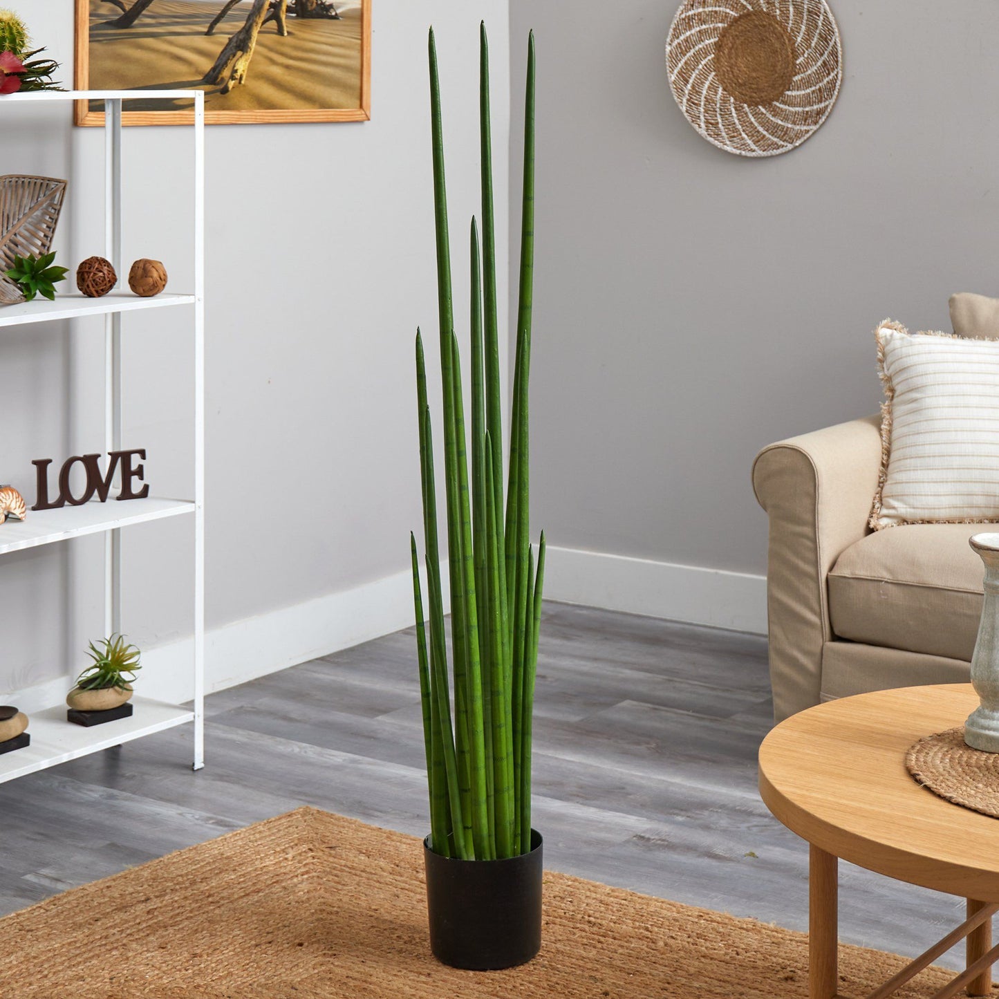 5’ Sansevieria Snake Plant artificial, Nearly Natural tall green stalks in black pot on Tampa Home & Garden Store