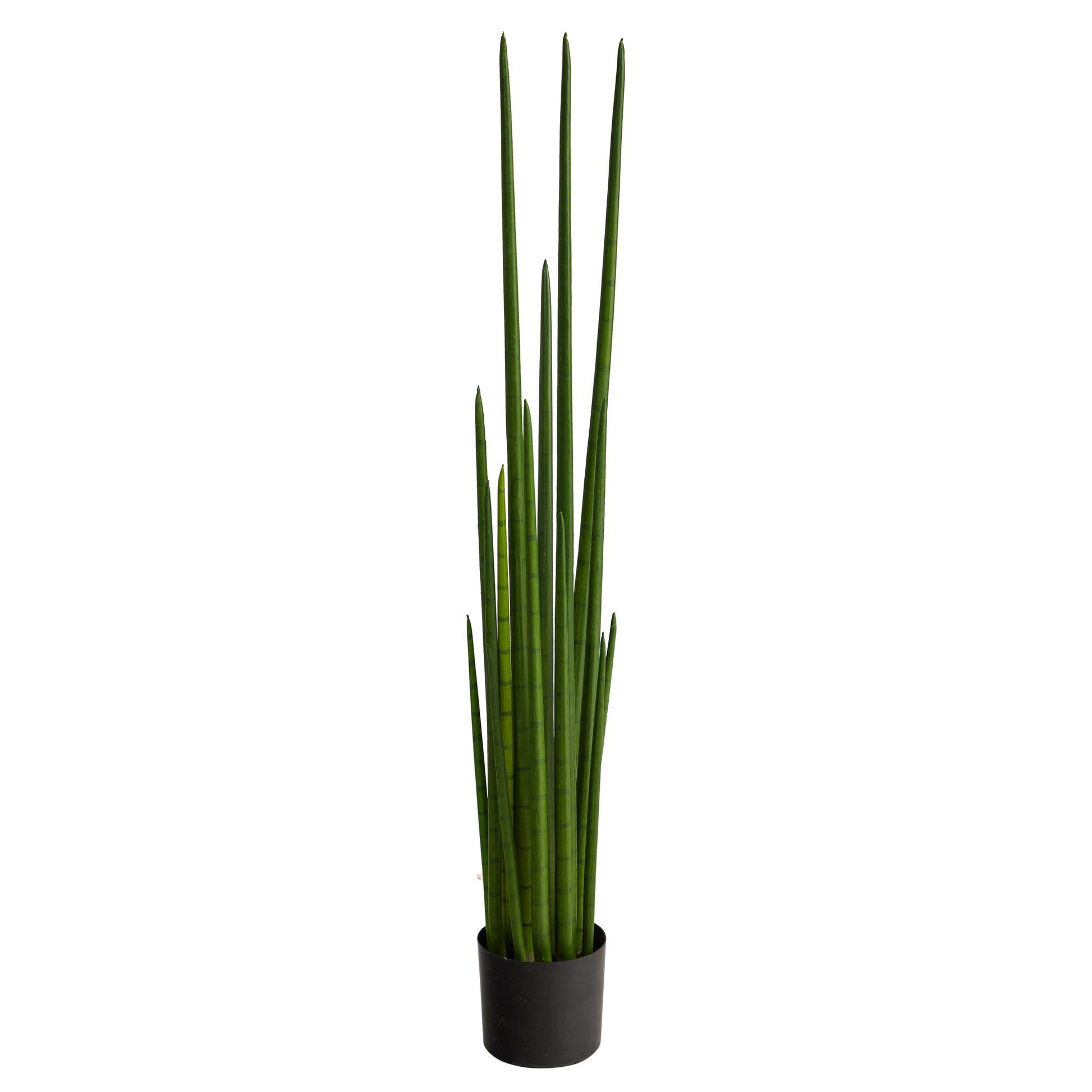 5’ Sansevieria Snake artificial plant by Nearly Natural in black pot with tall green stems on Tampa Home & Garden Store