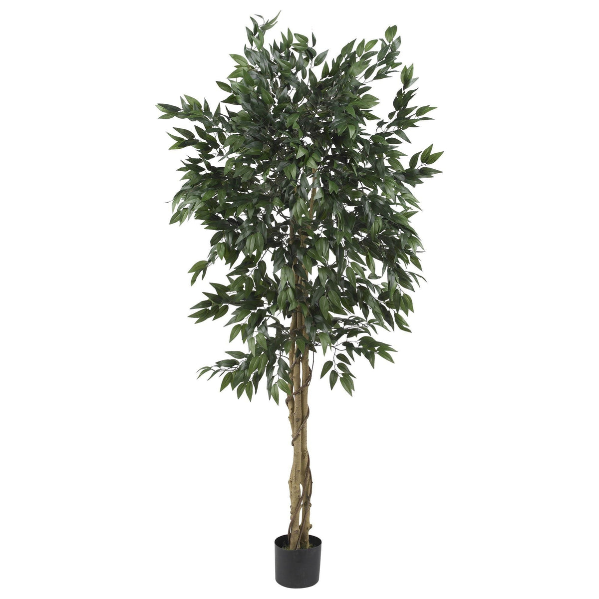5' Smilax Tree plant by Nearly Natural with green leaves and braided trunk in black pot on Tampa Home & Garden Store
