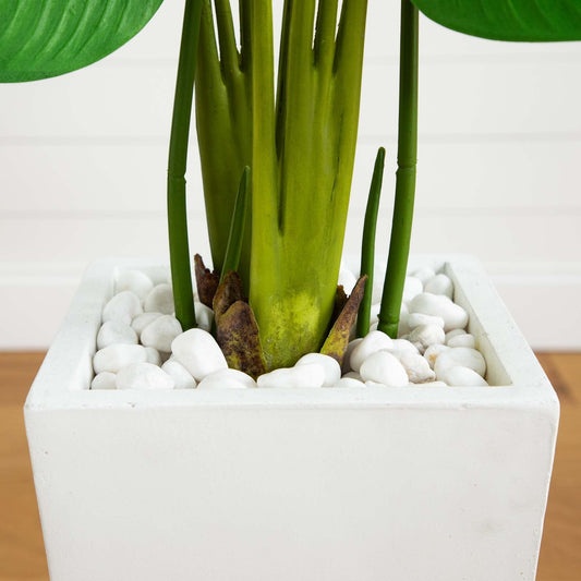 5’ Travelers Palm Artificial Tree in Tall White Planter - Tampa Home & Garden Store
