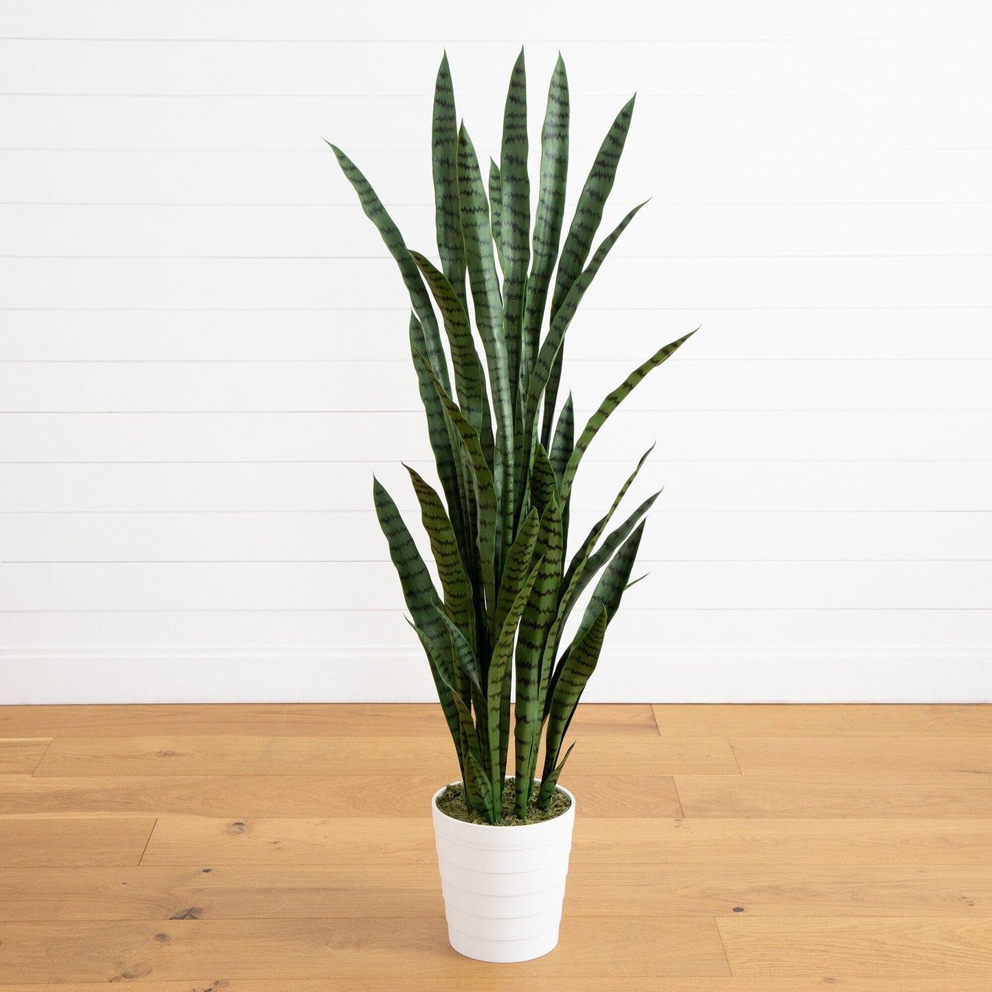 Artificial Sansevieria in a White Decor Planter