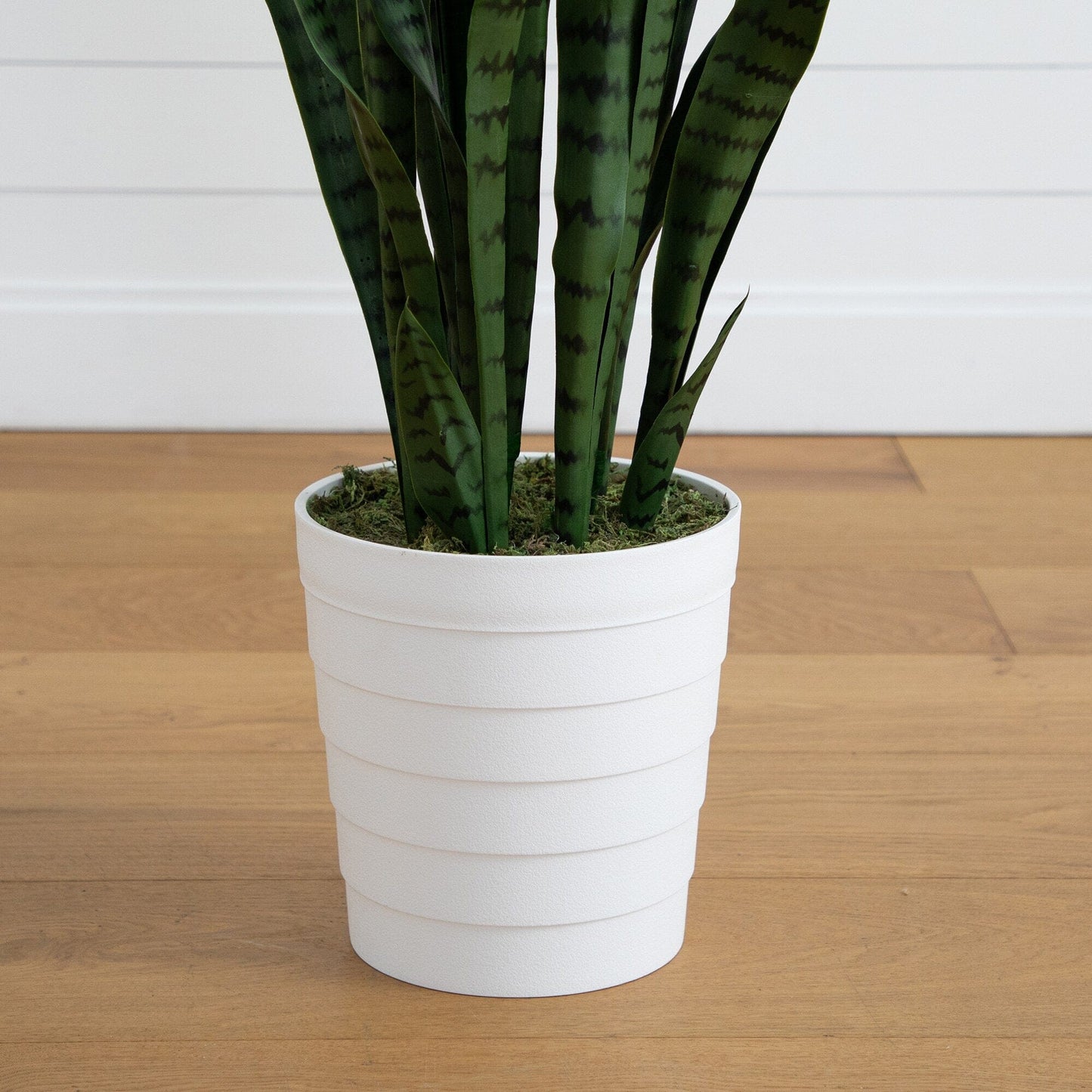 Artificial Sansevieria in a White Decor Planter