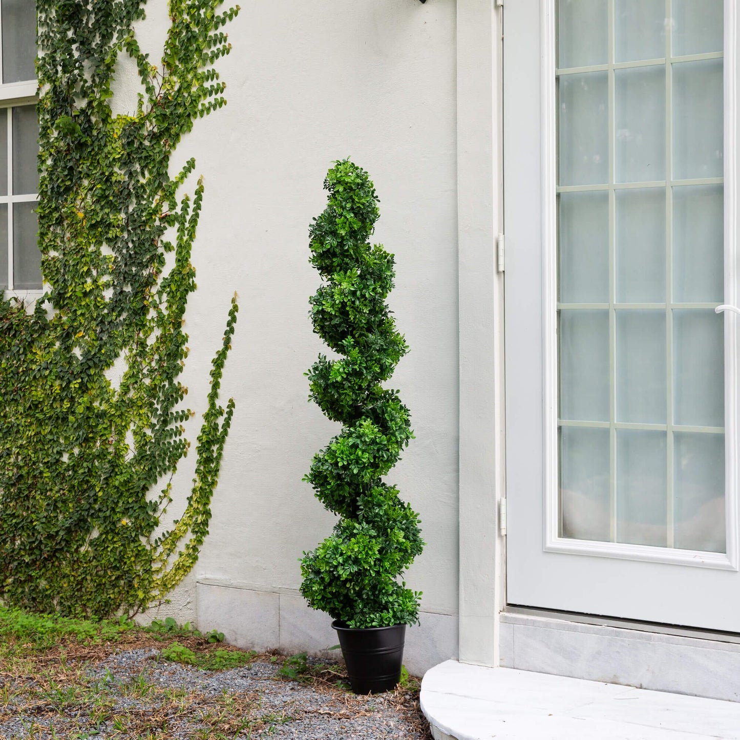 5 Foot Uv Boxwood Spiral Topiary And A Planter