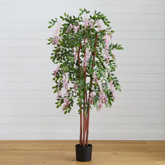 5' Wisteria Silk Tree - Tampa Home & Garden Store