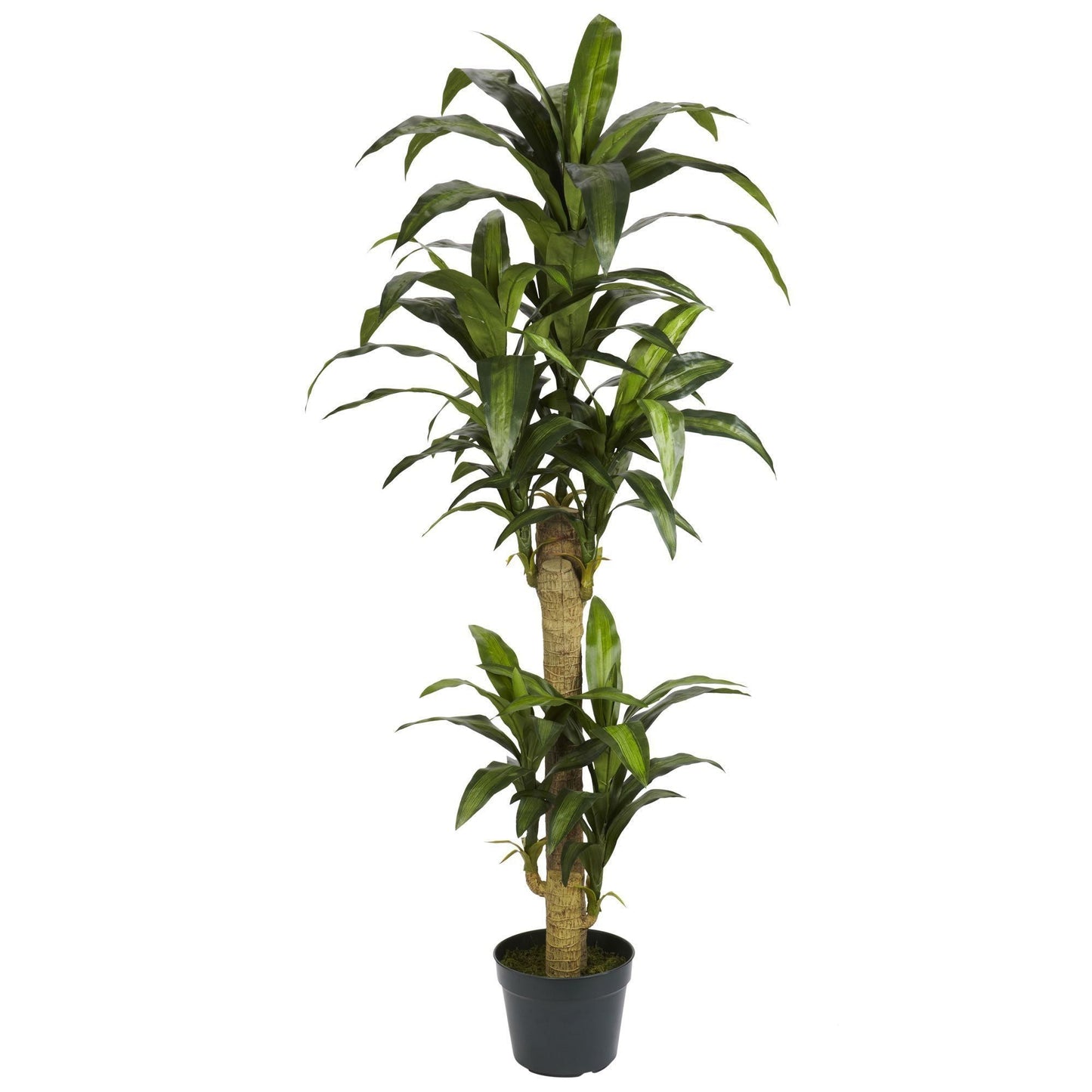5' Yucca silk plant Nearly Natural in a dark planter, artificial non-flowering green foliage on Tampa Home & Garden Store