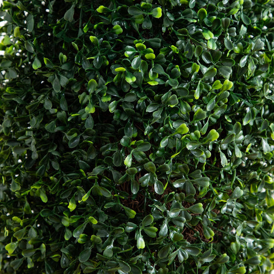 50” Boxwood Topiary with Gray Cylindrical Planter UV Resistant (Indoor/Outdoor) - Tampa Home & Garden Store