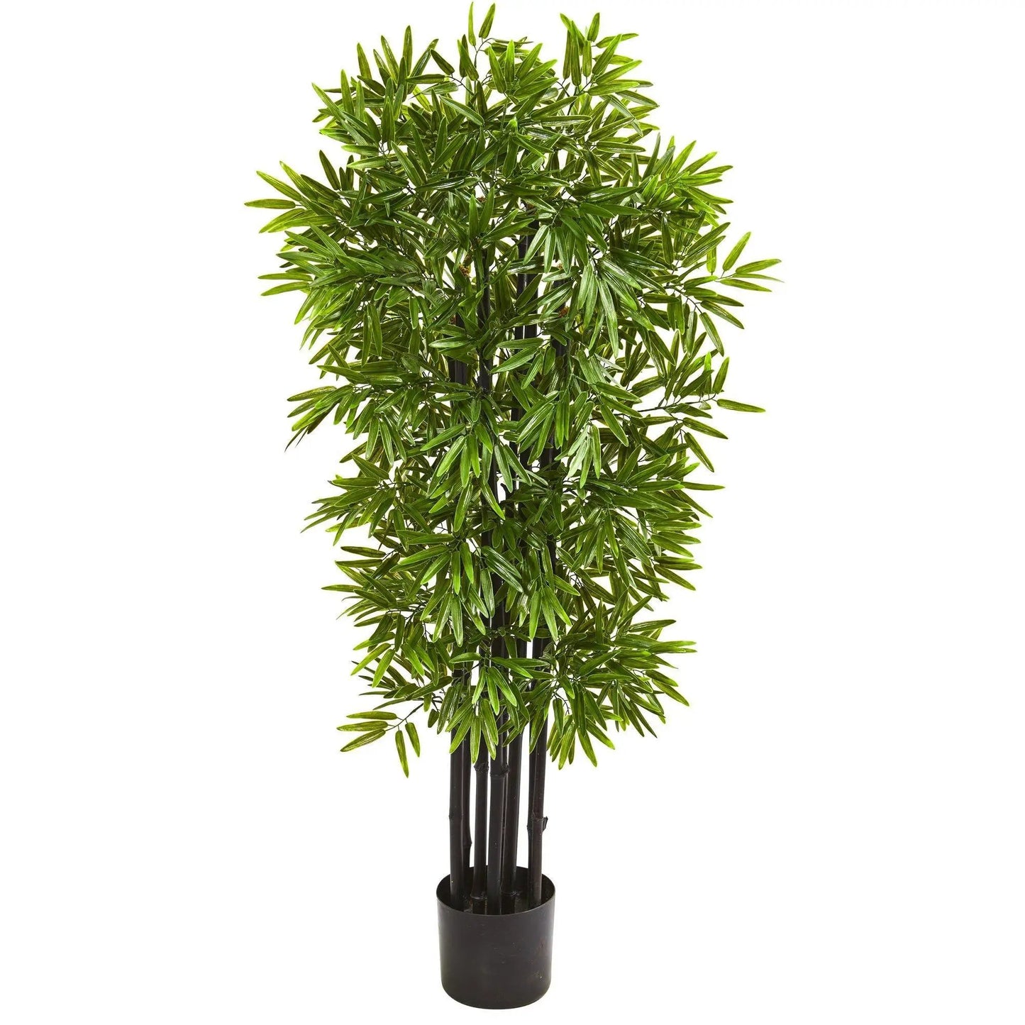 - image on Tampa Home & Garden Store