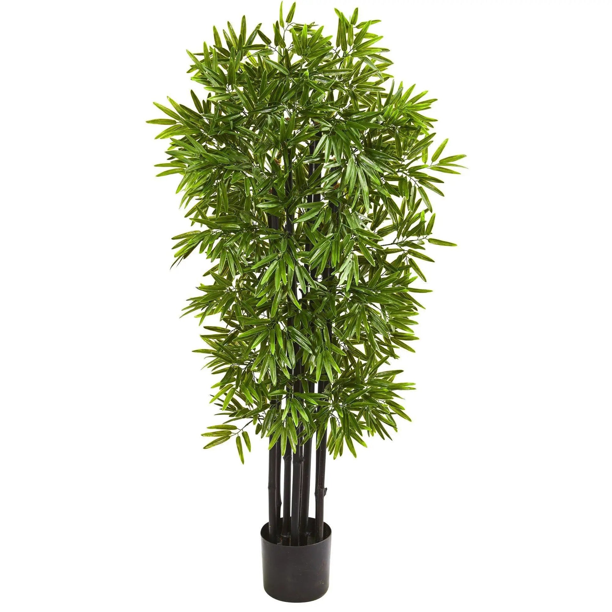 - image on Tampa Home & Garden Store