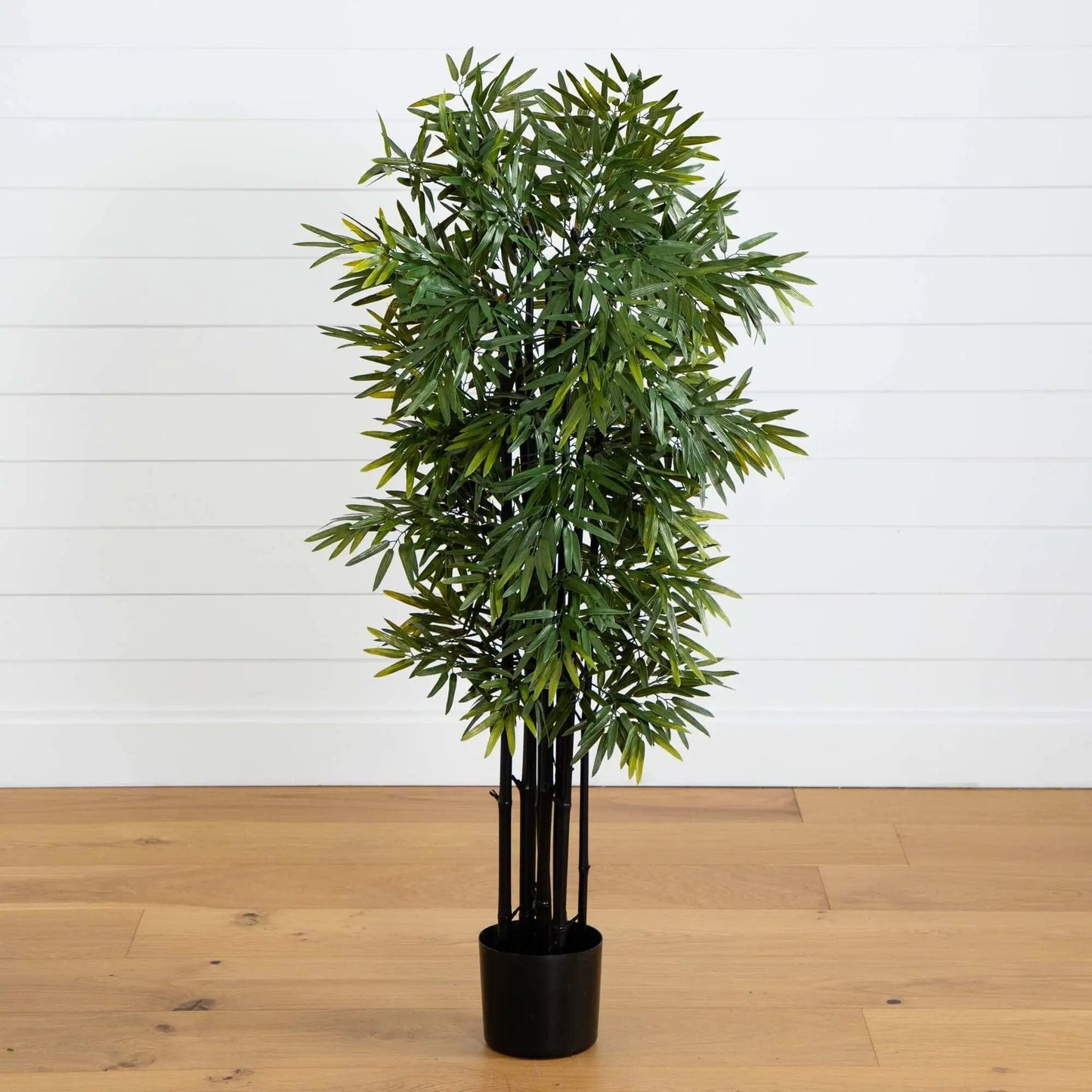 - image on Tampa Home & Garden Store