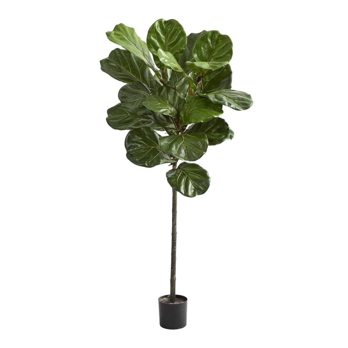 52-inch Fiddle Leaf Artificial Tree by Nearly Natural with green leaves on trunk in a black pot on Tampa Home & Garden Store