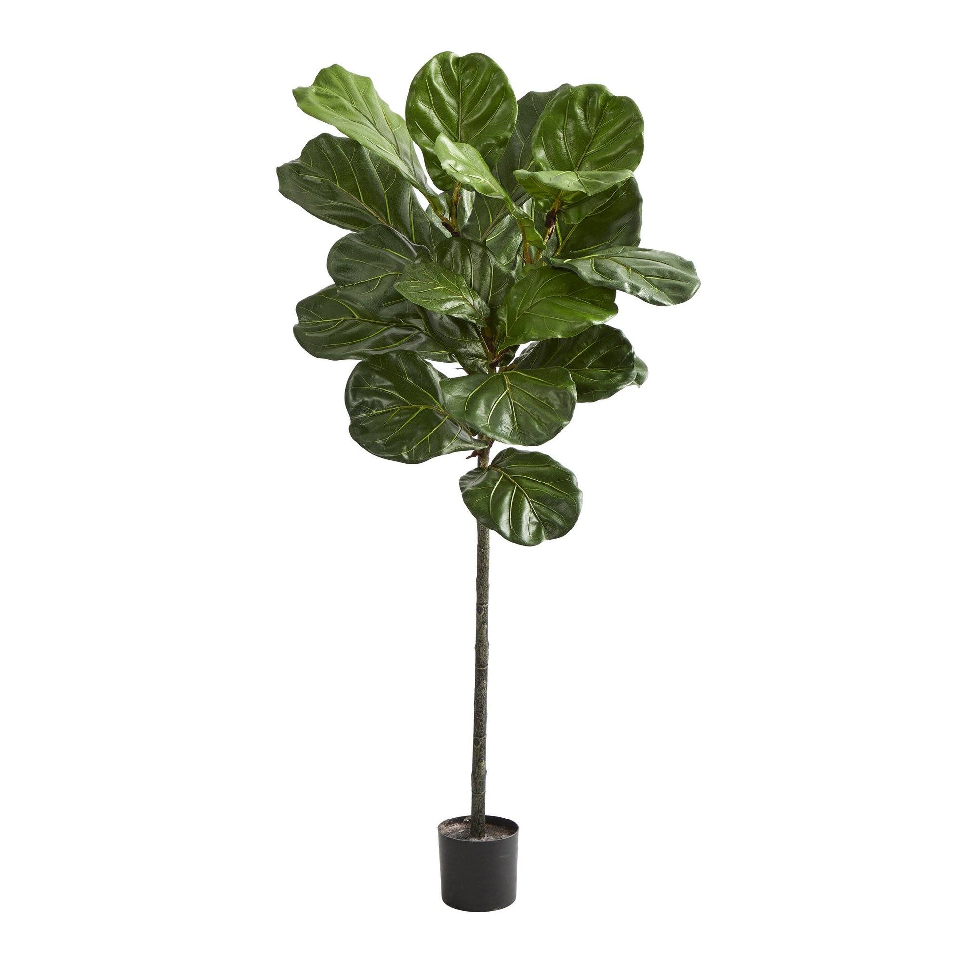 52-inch Fiddle Leaf Artificial Tree by Nearly Natural with green leaves on trunk in a black pot on Tampa Home & Garden Store