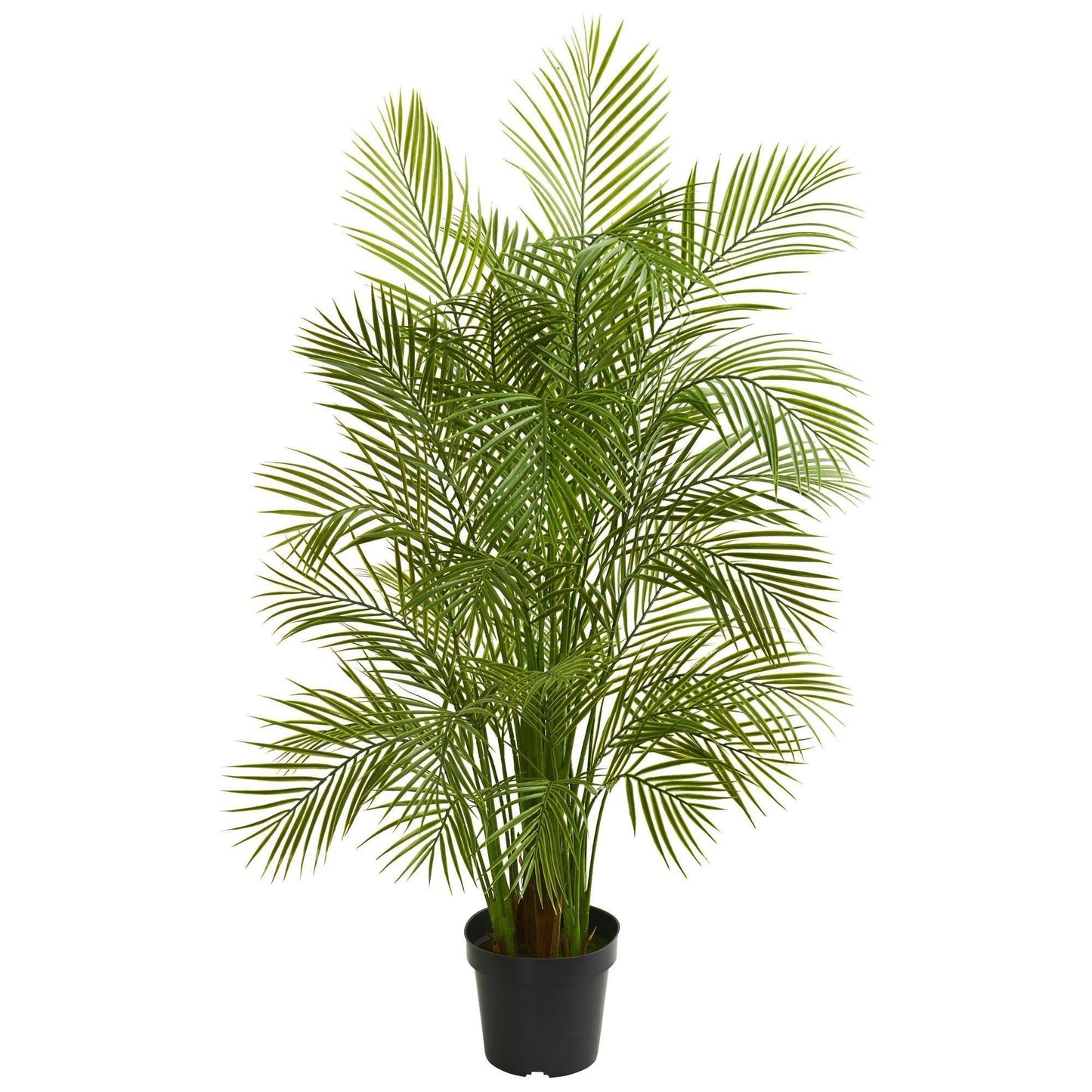 5.5’ Areca Palm Artificial Tree by Nearly Natural, lush green fronds in black pot on Tampa Home & Garden Store