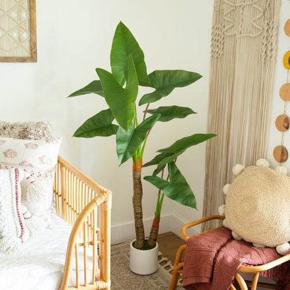Artificial Arrowhead Philodendron in a White Pot