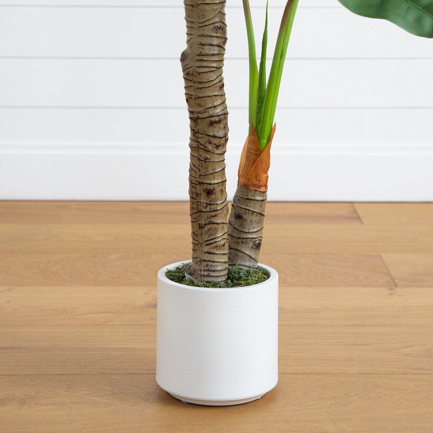 Artificial Arrowhead Philodendron in a White Pot