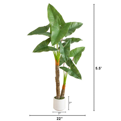 Artificial Arrowhead Philodendron in a White Pot