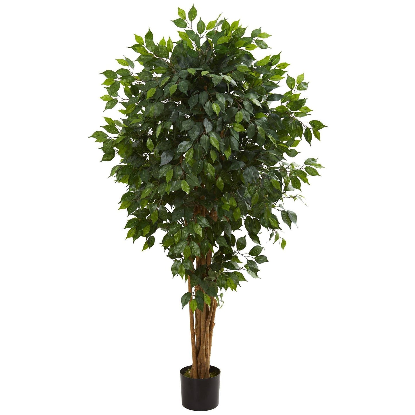 Ficus artificial de 5.5 pies con troncos agrupados