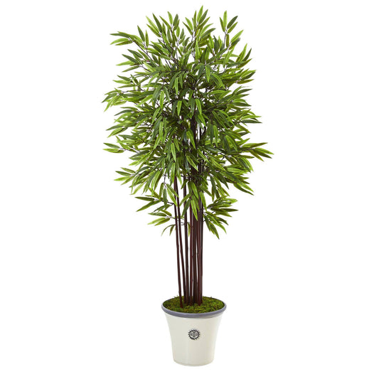 5.5’ Bamboo Artificial Tree in Decorative Planter - Tampa Home & Garden Store