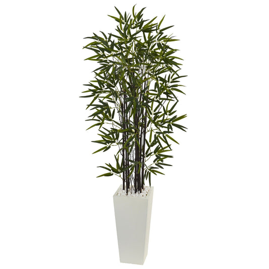 5.5ft Black Bamboo artificial tree in white tower planter on Tampa Home & Garden Store