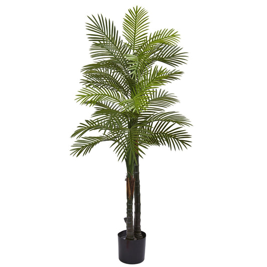 5.5’ Double Robellini Palm Tree UV Resistant (Indoor/Outdoor) - Tampa Home & Garden Store