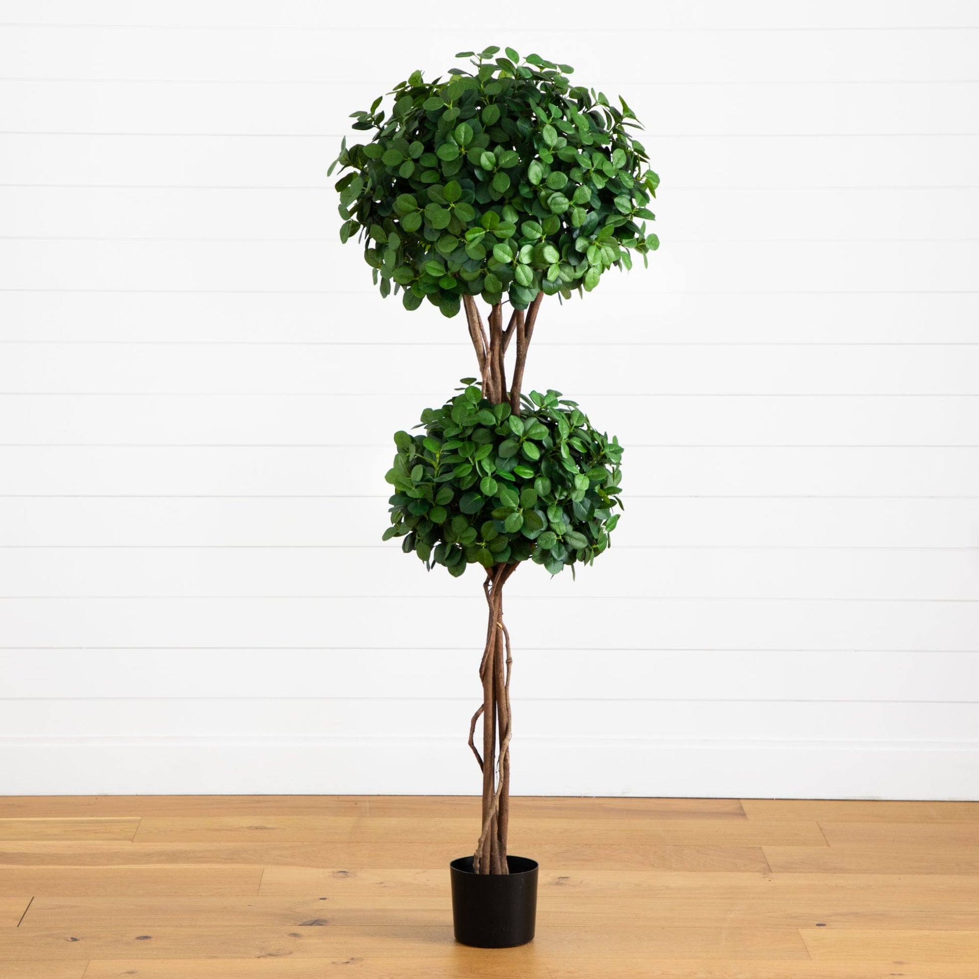 5.5' eucalyptus double-ball topiary silk tree by Nearly Natural in a black pot on Tampa Home & Garden Store