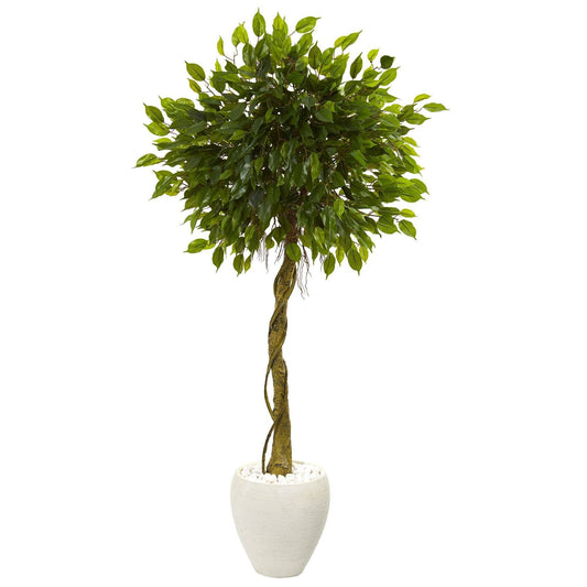 5.5 ft Ficus artificial tree in white oval planter with white stones Nearly Natural on Tampa Home & Garden Store