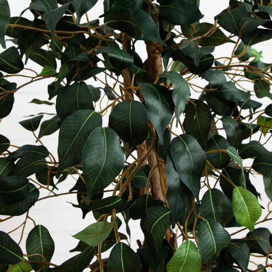 Artificial 5.5 ft Ficus Tree with Bamboo Planter, Nearly Natural on Tampa Home & Garden Store