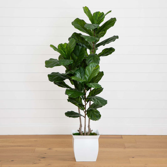 5.5’ Fiddle Leaf Artificial Tree in White Metal Planter(Indoor/Outdoor) - Tampa Home & Garden Store